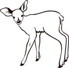 http://images.clipshrine.com/getimg/PngMedium-fawn-outline-10430.png